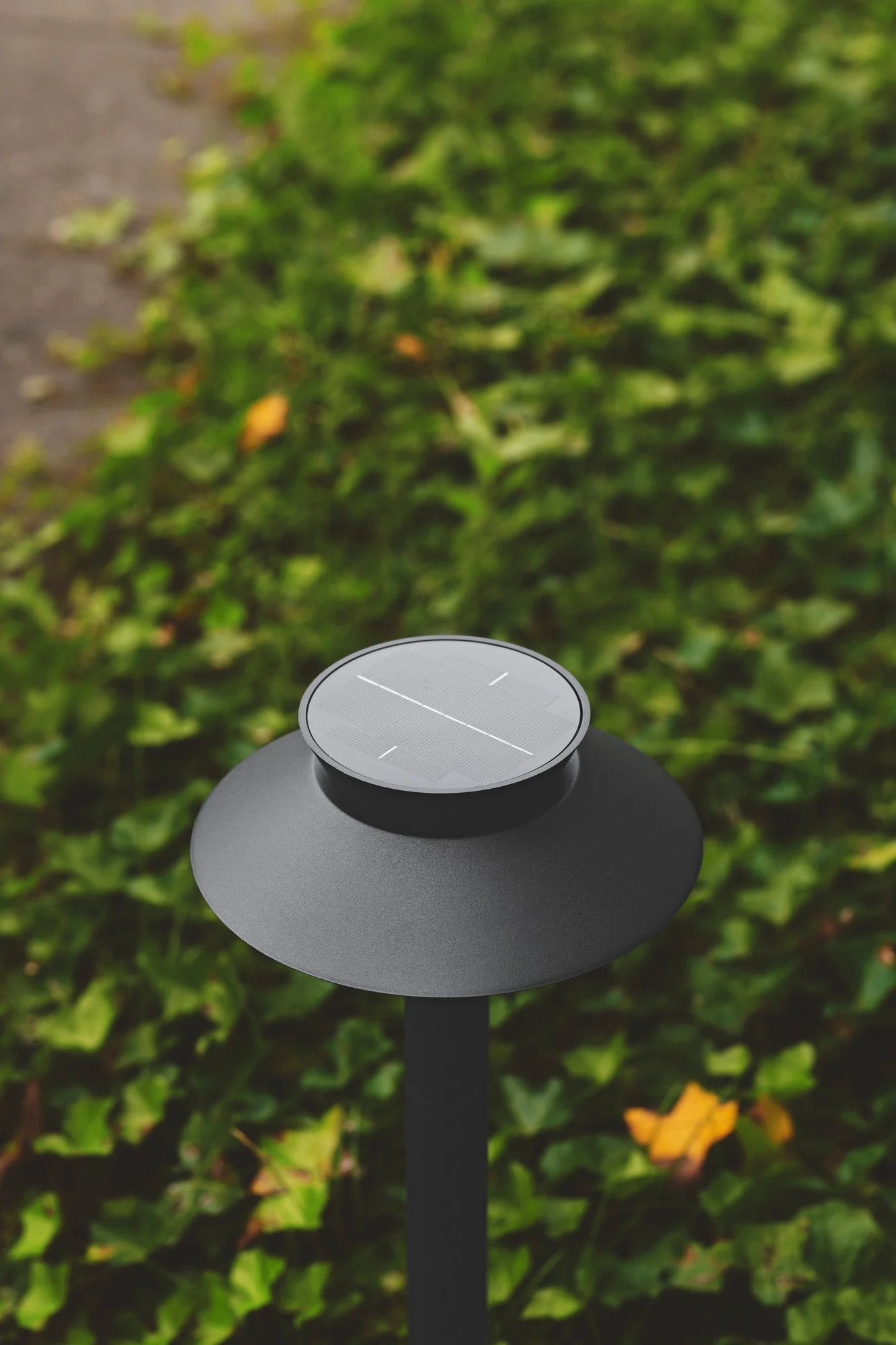 Justina Solar Garden Light- Anthracite/ Black
