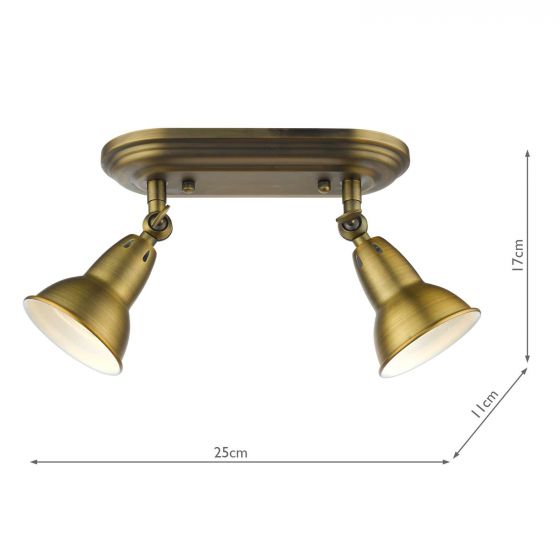 Nathaniel 2Lt Plate Spotlight - Aged Brass