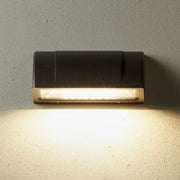 Berkeley II IP54 Outdoor Wall Light