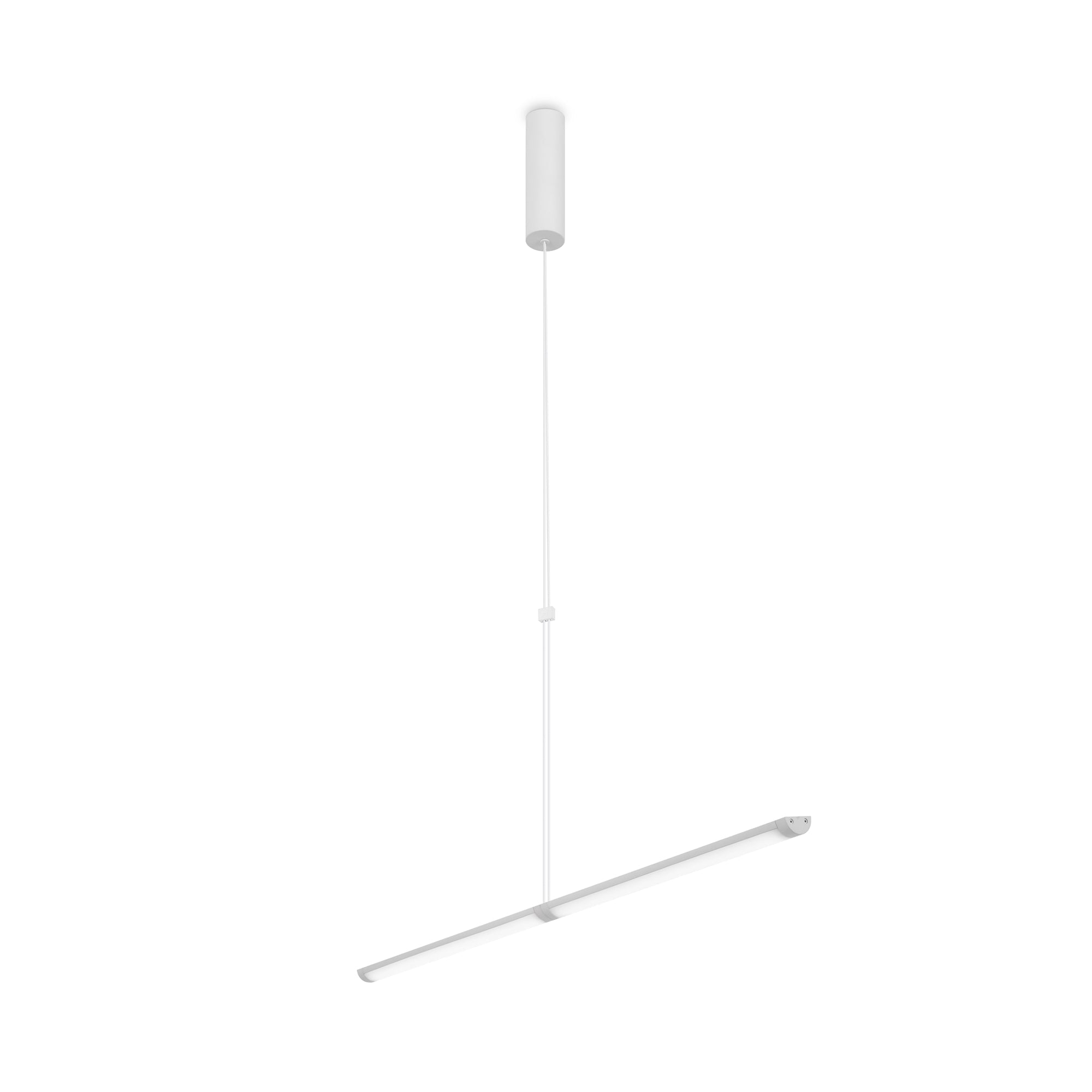 Supersymmetry LED Hanging Ceiling Light - Matte Black/White Finish