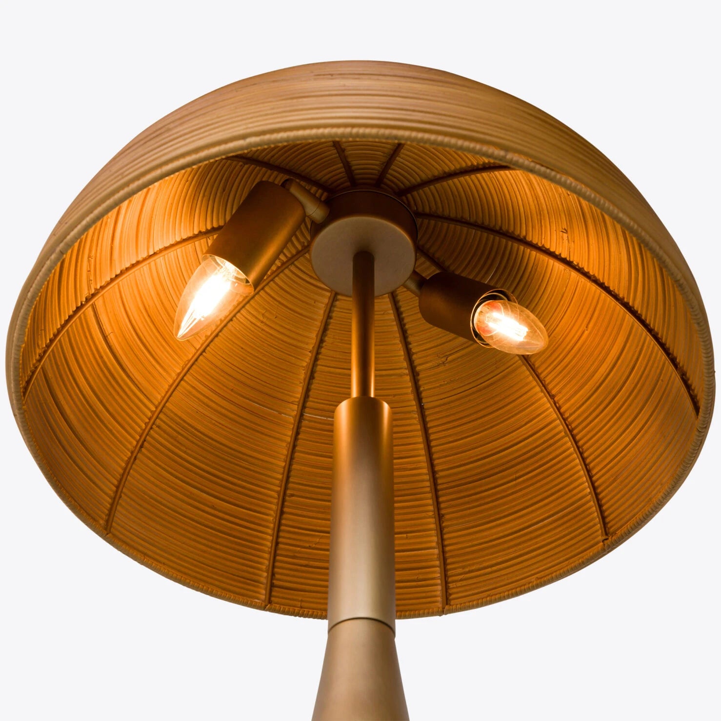 Shroom Table Lamp