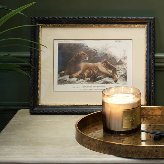 Lion Print