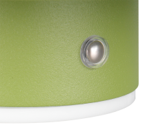 Davey Wall Light- Various Colors