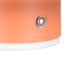 Davey Wall Light- Various Colors
