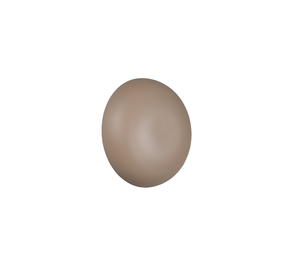 Davey Wall Light- Various Colors