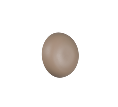 Davey Wall Light- Various Colors