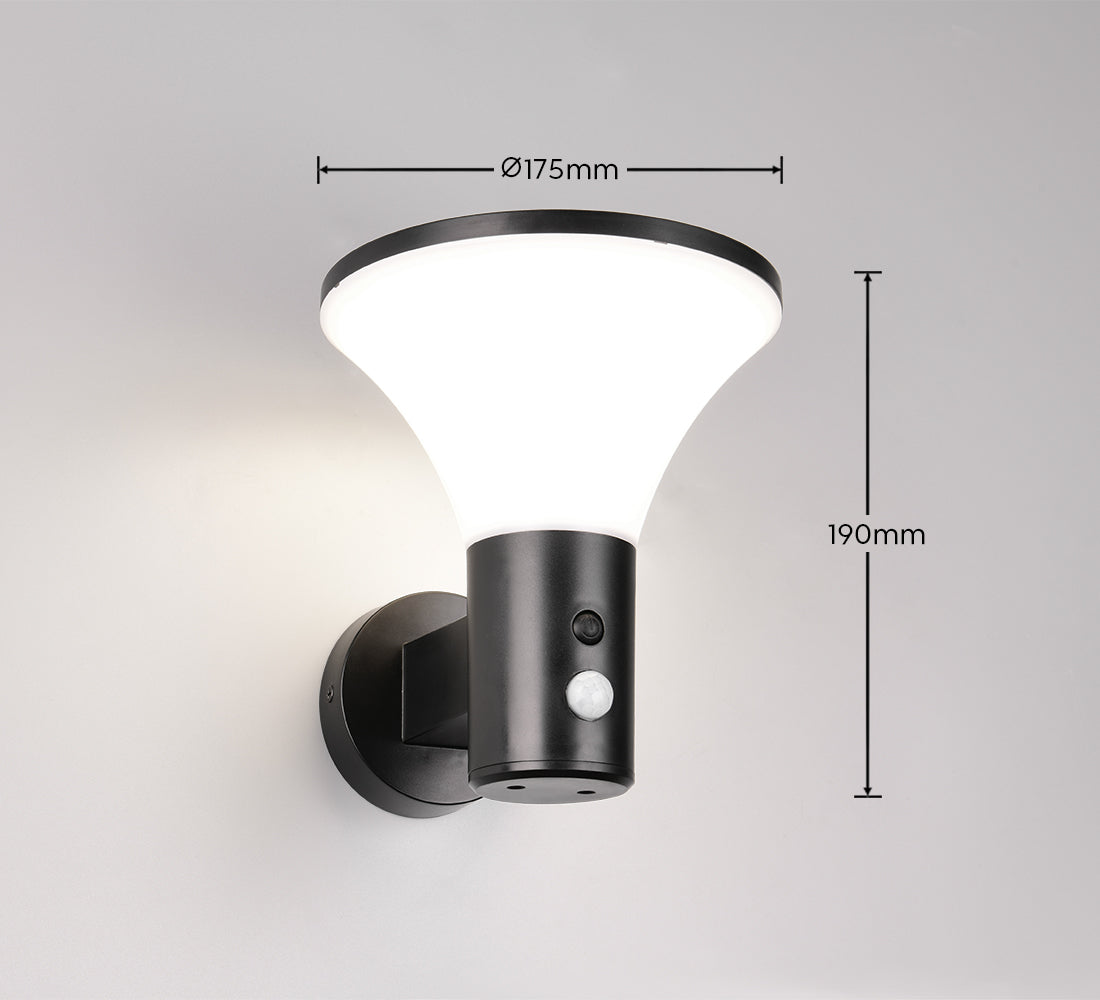 Gorda Wall Light