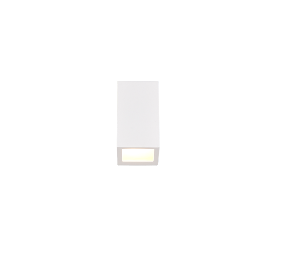 Braga Outdoor Wall Light- White/ Black Finishes