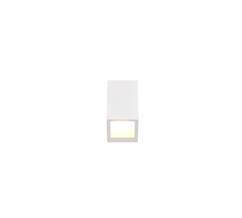 Braga Outdoor Wall Light- White/ Black Finishes