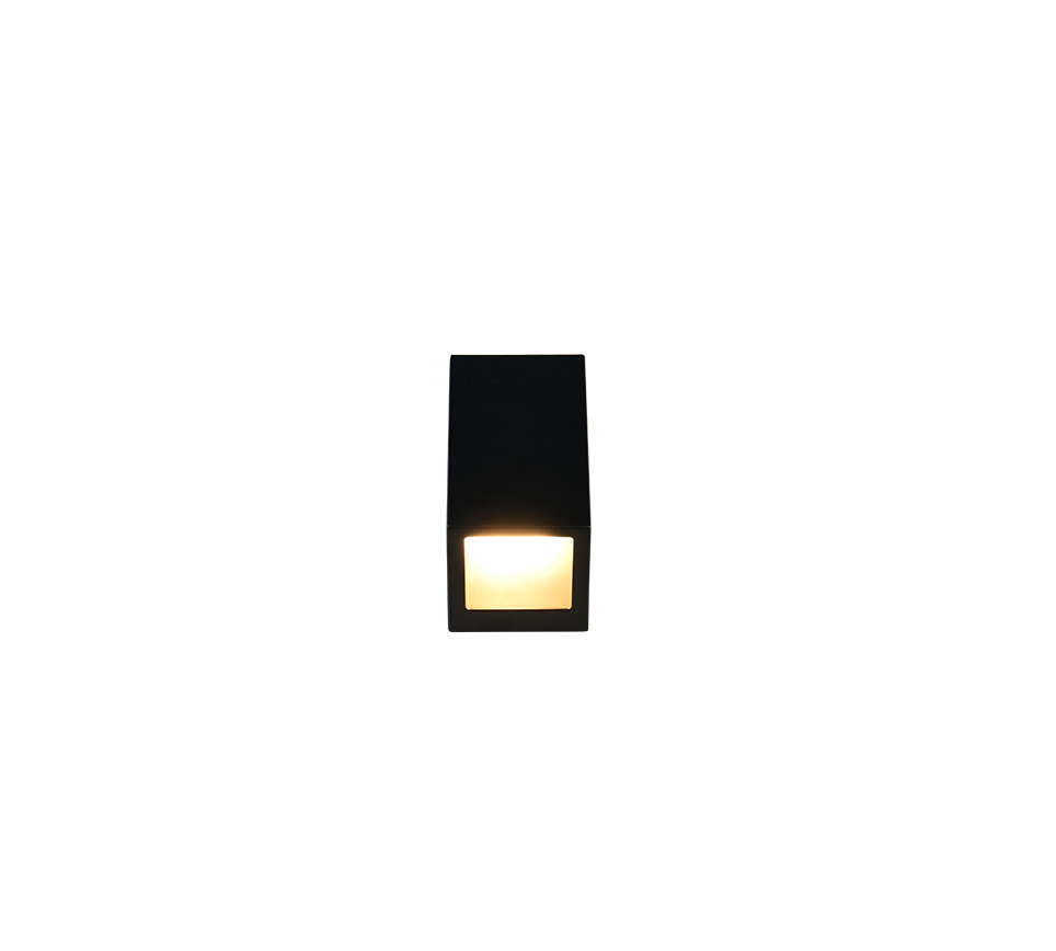 Braga Outdoor Wall Light- White/ Black Finishes