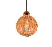 Sprout Pendant Light