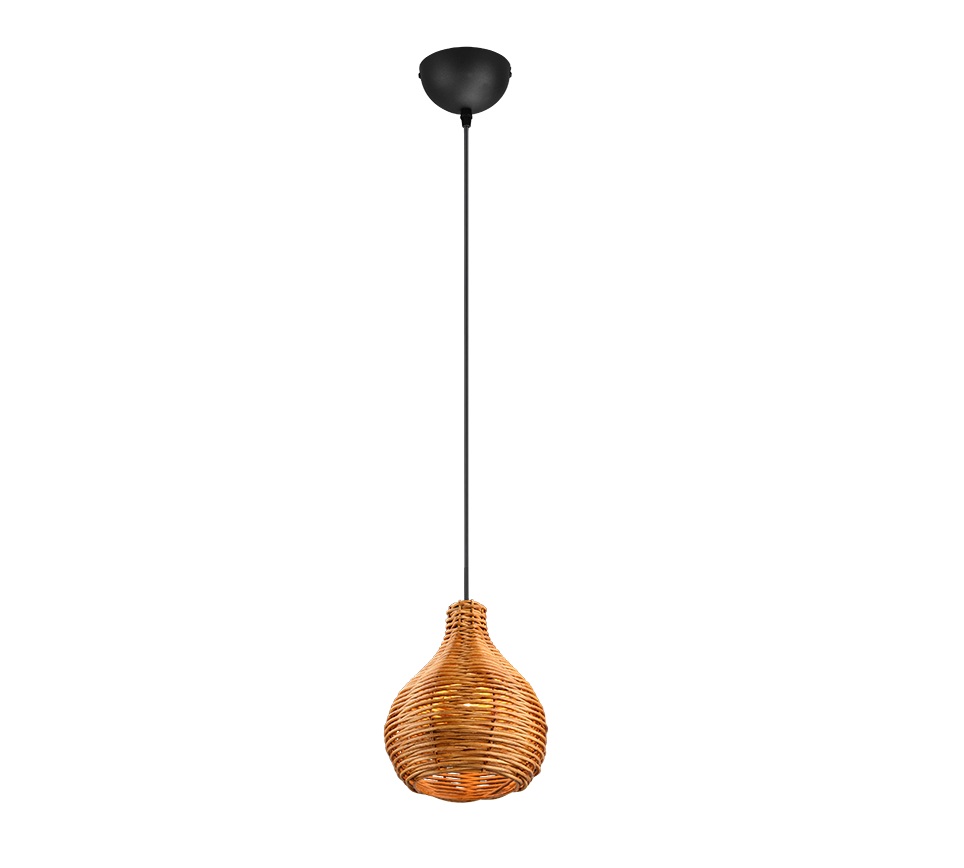 Sprout Pendant Light