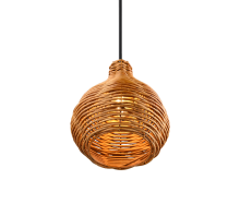 Sprout Pendant Light