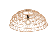 Paulette Pendant Light