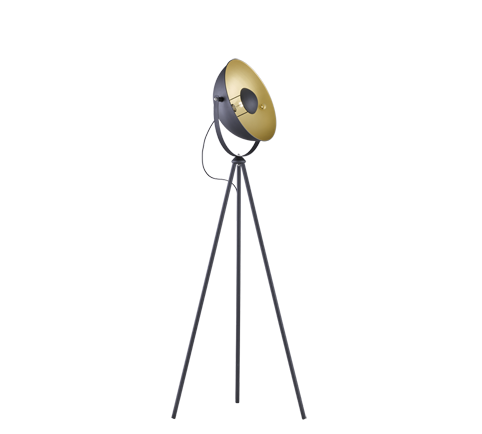 Chewy Modern Floor Lamp - Black & Gold