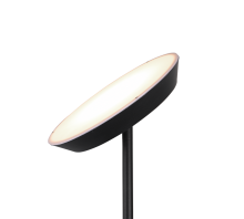 Haora LED Floor Lamp