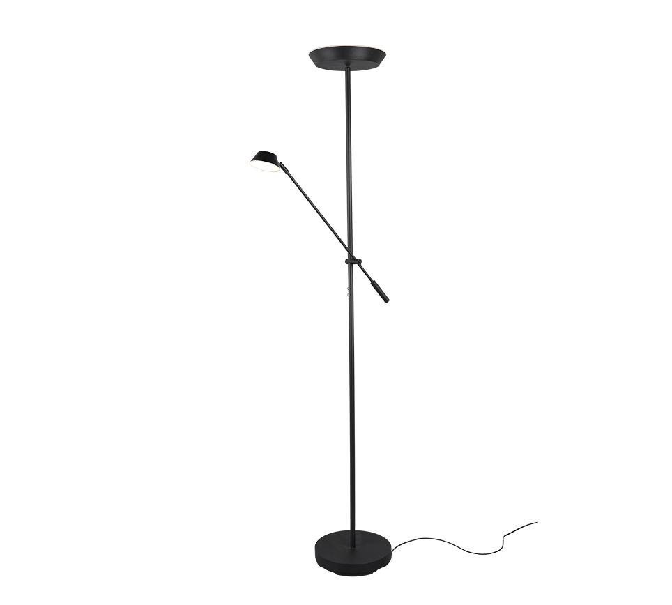 Haora LED Floor Lamp