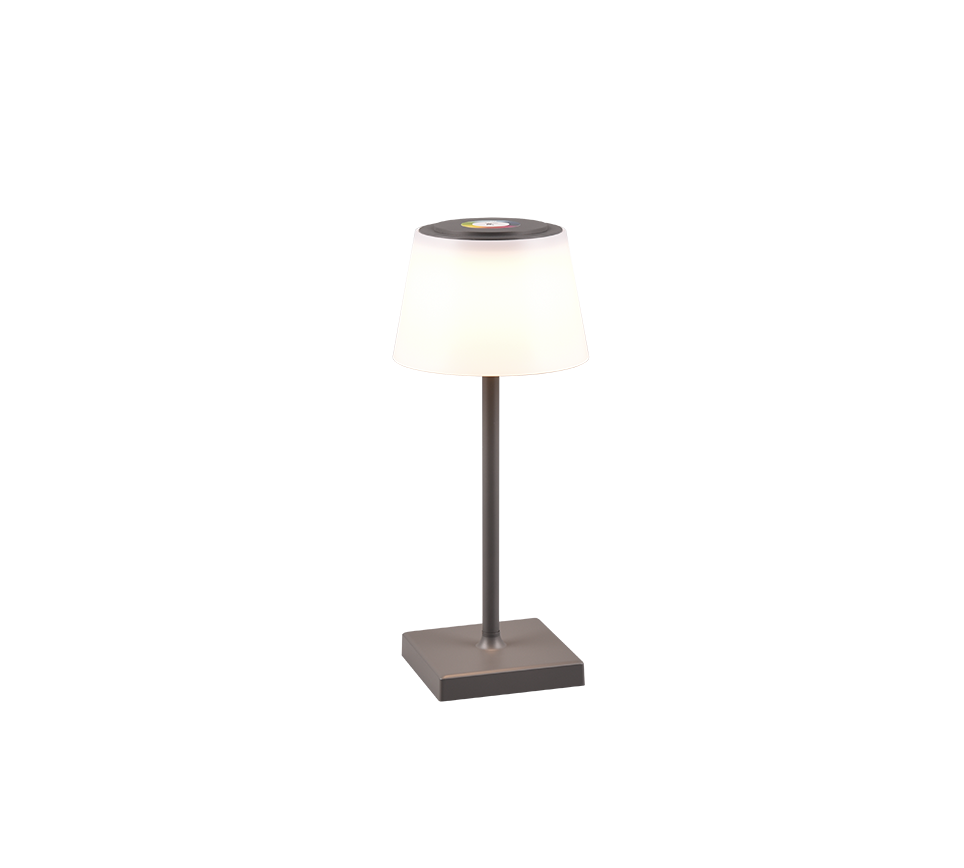 Sanchez LED Outdoor Rechargeable Table Lamp - Anthracite/White