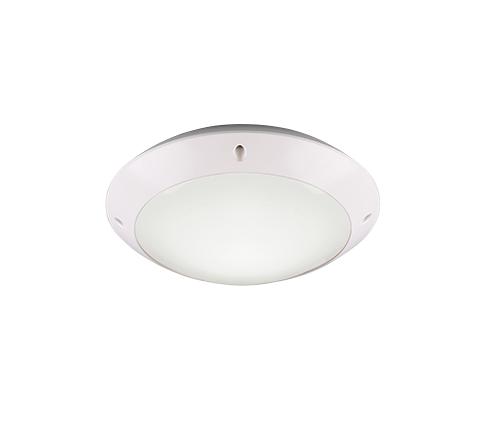 Camaro Outdoor Ceiling Light- Black/ White Finish