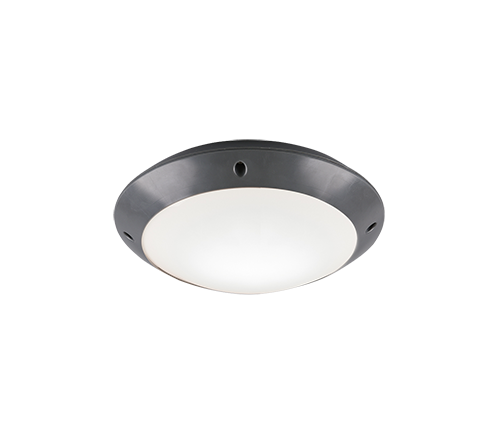 Camaro Outdoor Ceiling Light- Black/ White Finish