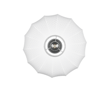 Madeline Ceiling Light