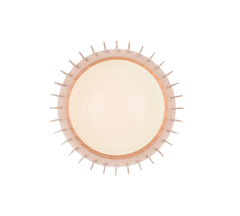 Monte LED Flush Ceiling Light