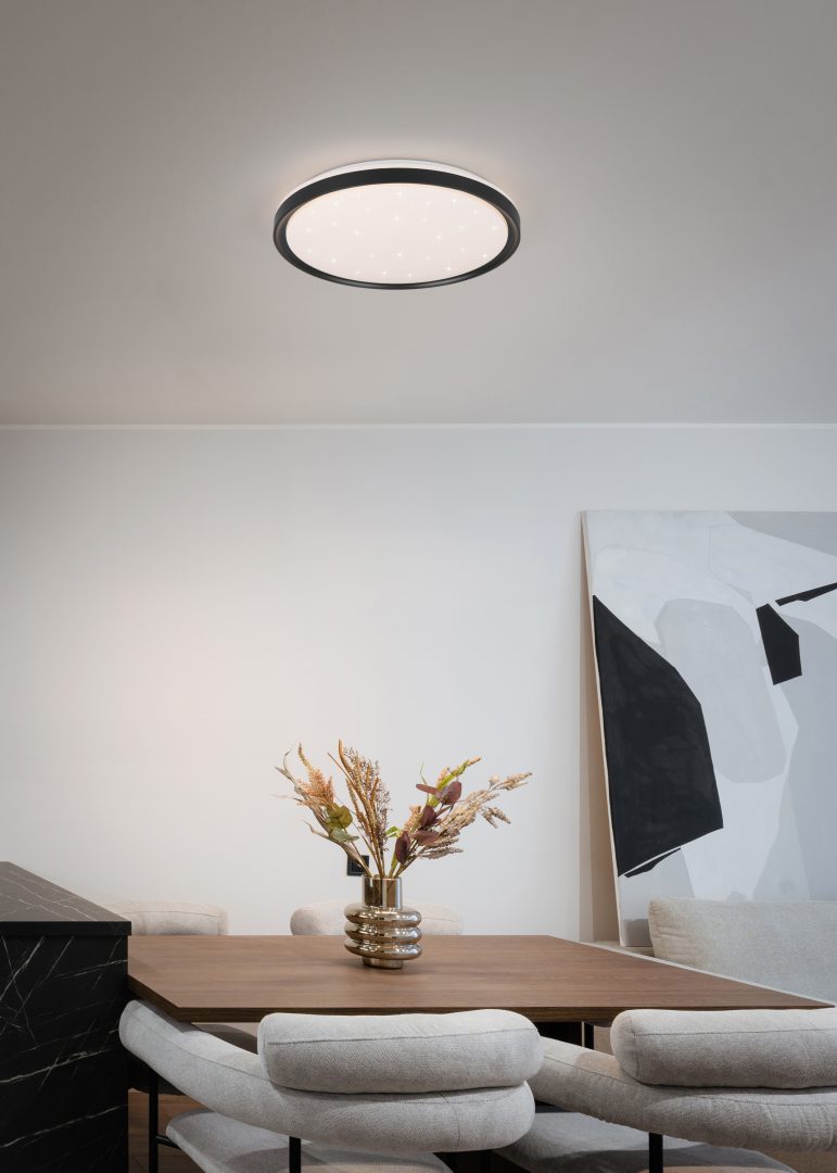 Solit Ceiling lamp- Black/ White Finishes