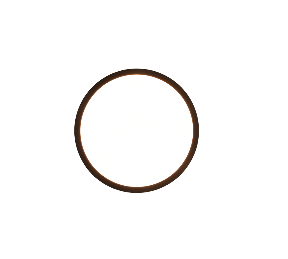 Aureo LED Flush Ceiling Light