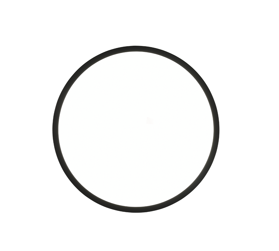 Aureo LED Flush Ceiling Light