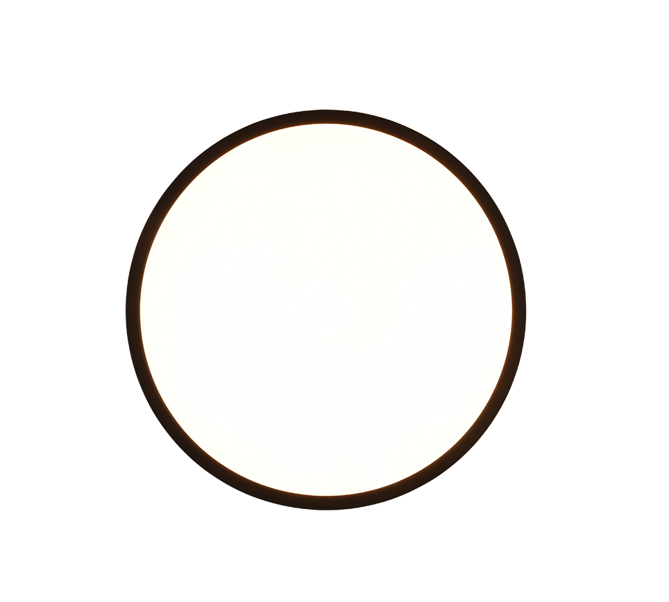 Aureo LED Flush Ceiling Light