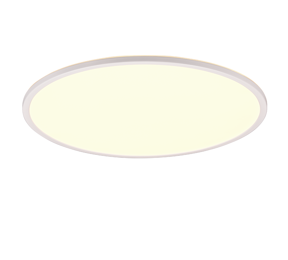 Scott Ceiling Light- 5 Years LED Warranty