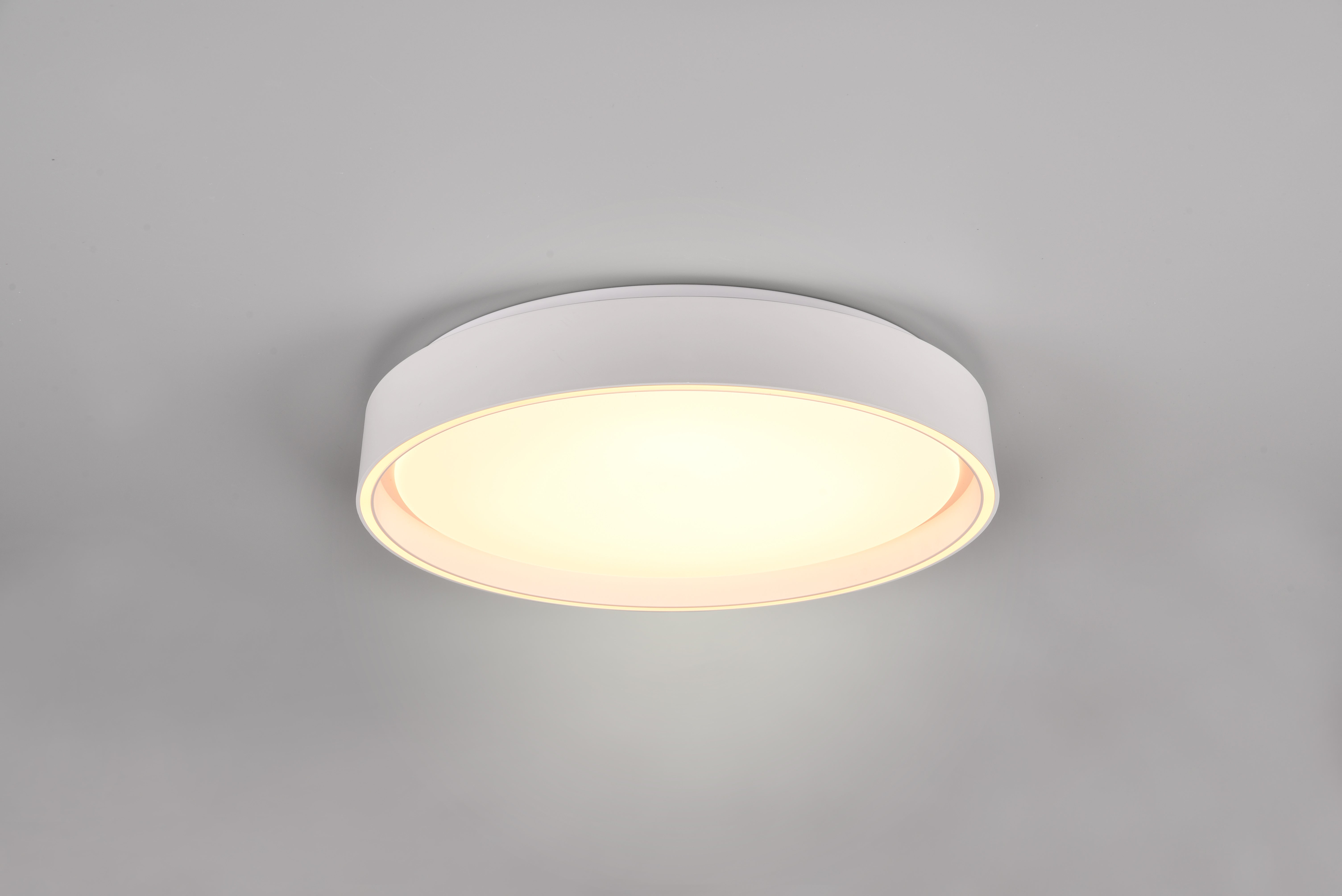 Felis Ceiling Light Black- Gold Finish 5 years LED Warranty