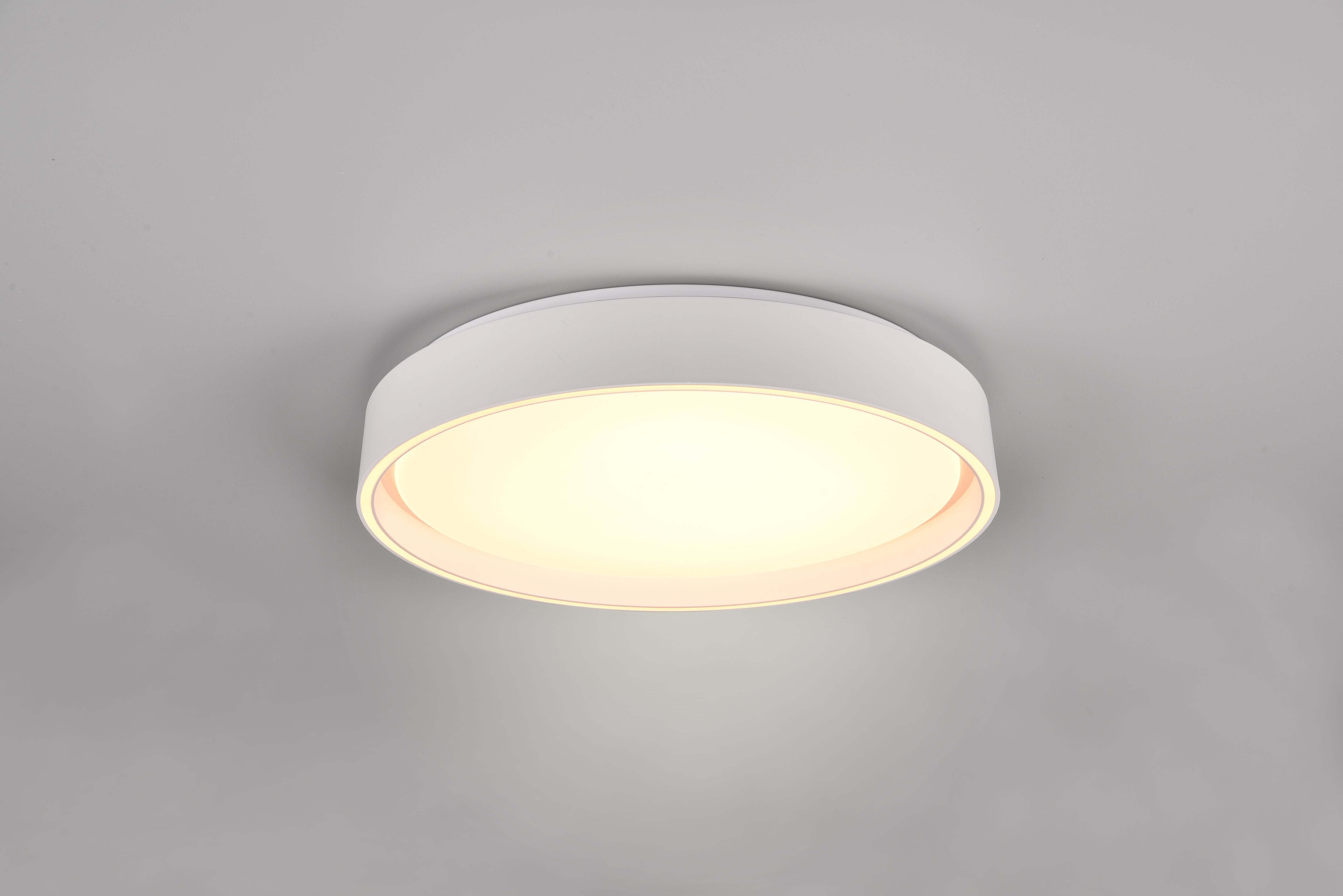 Felis Ceiling Light Black- Gold Finish 5 years LED Warranty