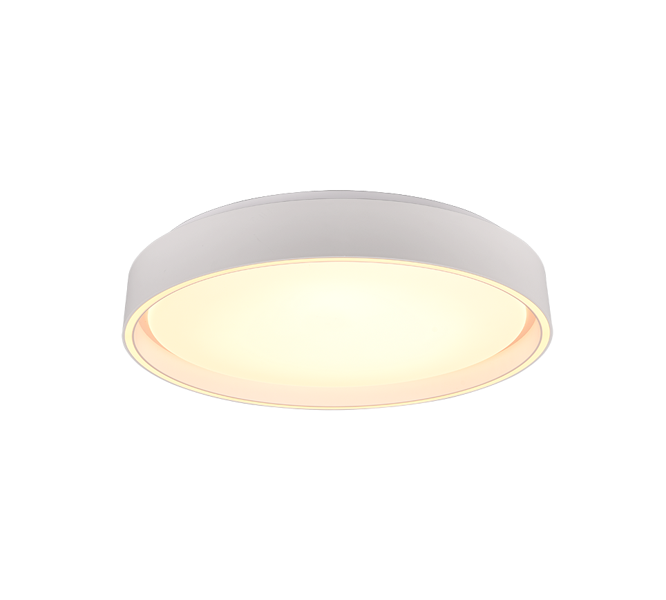 Felis Ceiling Light Black- Gold Finish 5 years LED Warranty