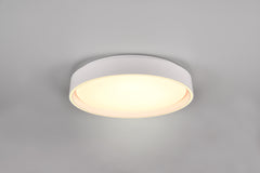Felis Ceiling Light Black- Gold Finish 5 years LED Warranty