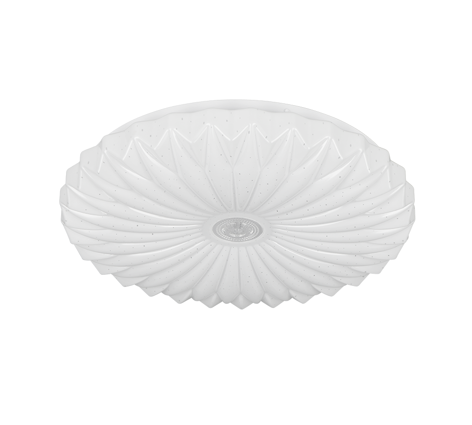 Ataris LED Flush Ceiling Light