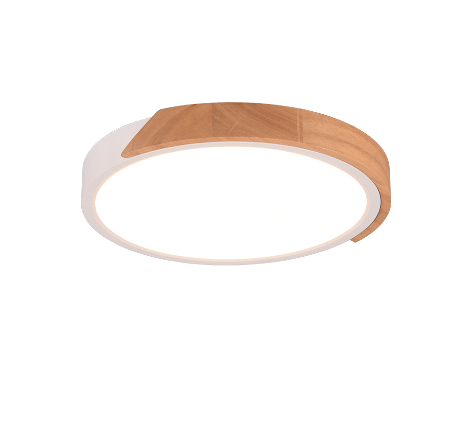 Jano LED Flush Ceiling Light
