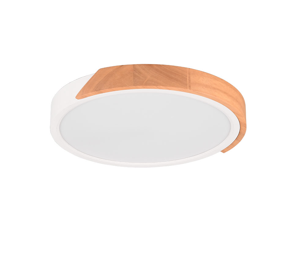 Jano LED Flush Ceiling Light