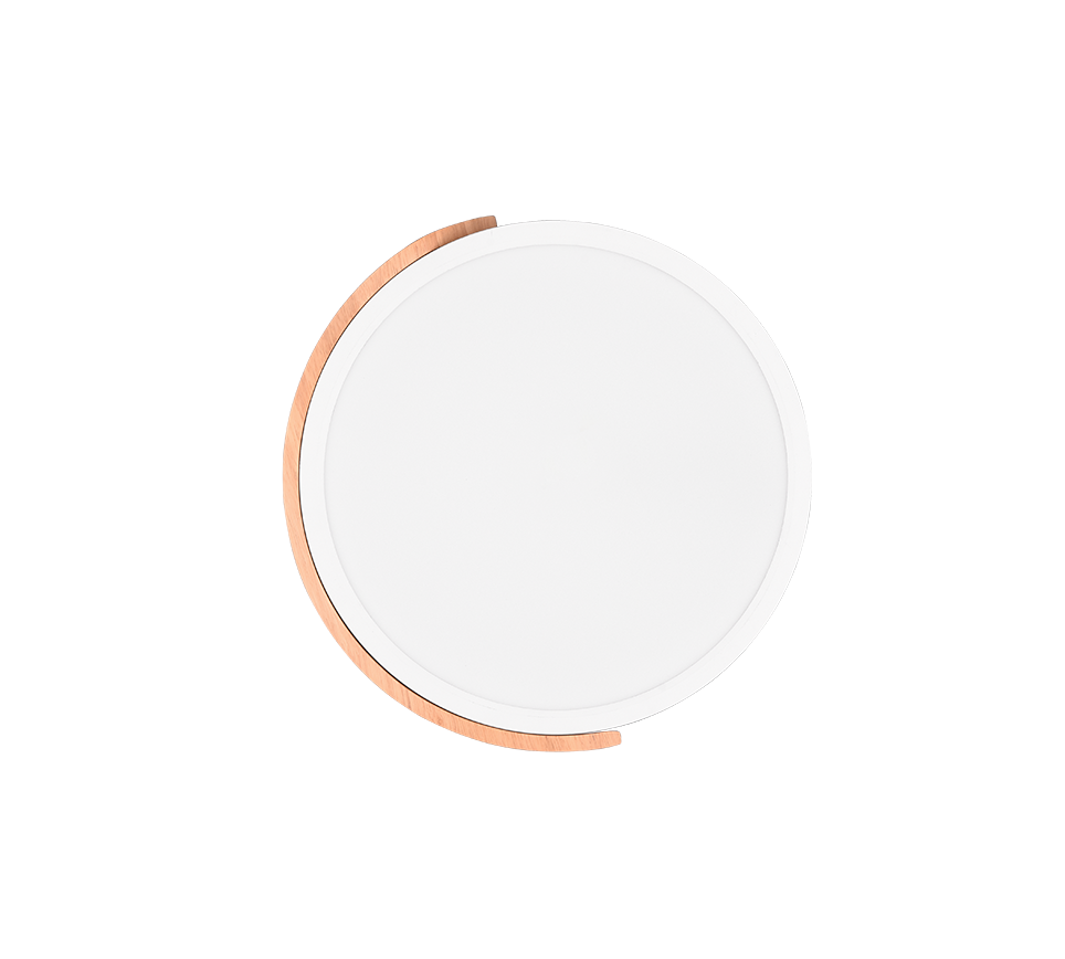 Jano LED Flush Ceiling Light