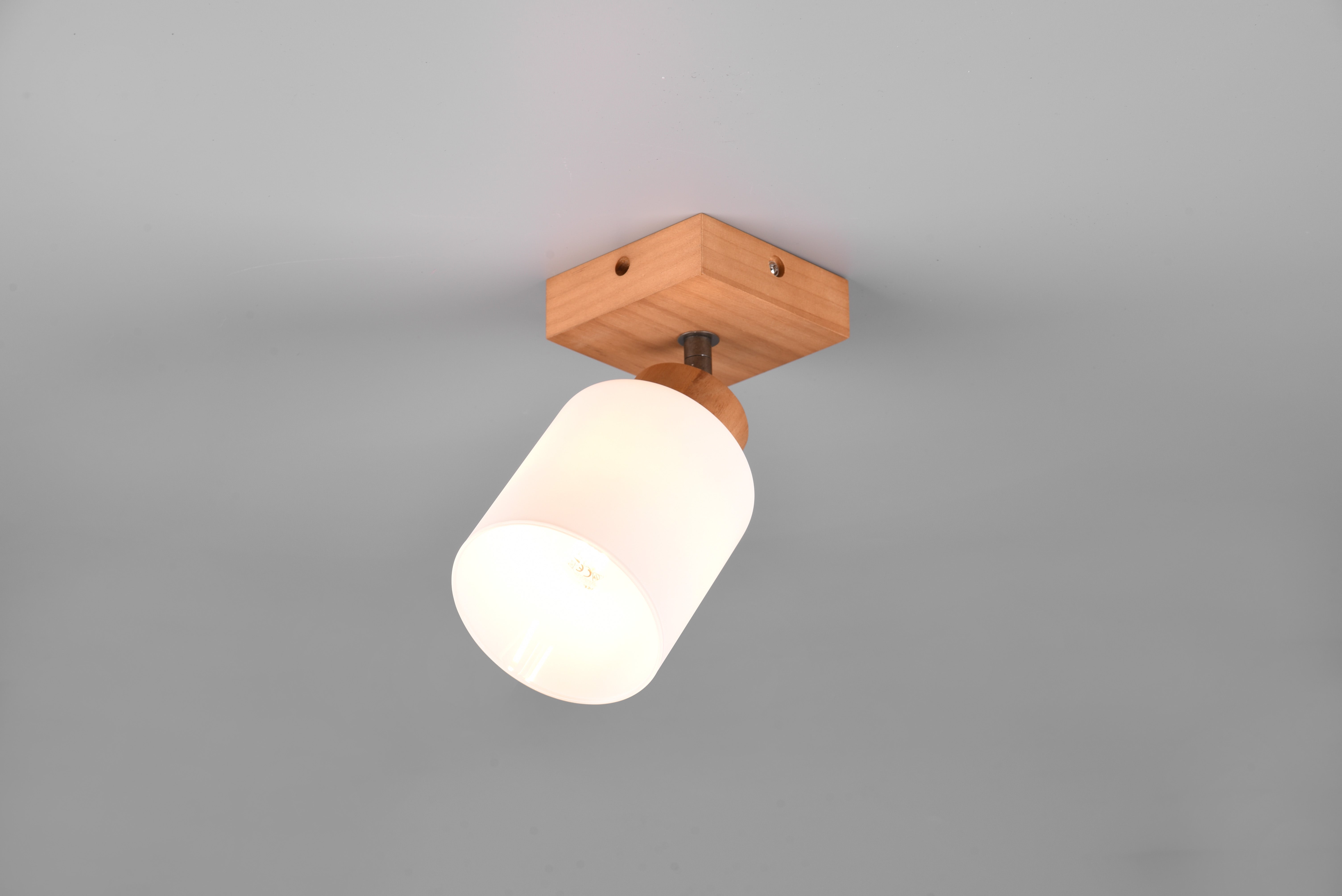 Assam Wall/Ceiling Spotlight - Wood Finish