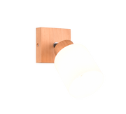 Assam Wall/Ceiling Spotlight - Wood Finish
