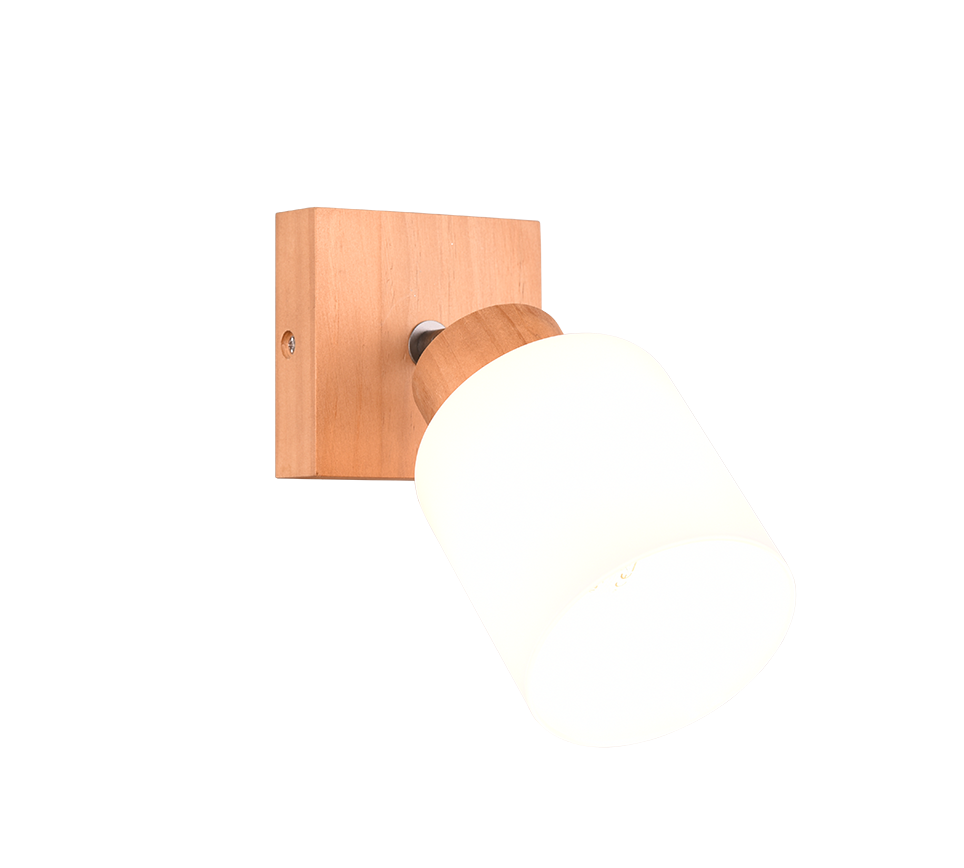 Assam Wall/Ceiling Spotlight - Wood Finish