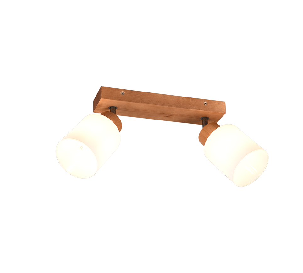 Assam 2/3/4Lt Bar Spotlight