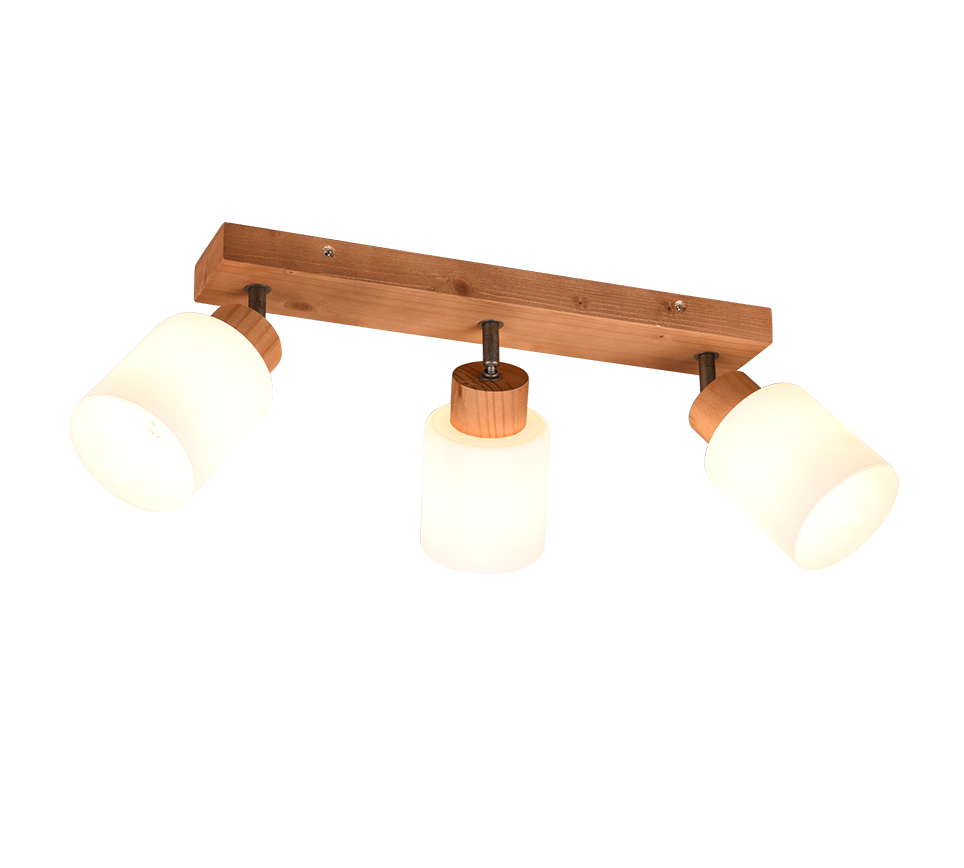 Assam 2/3/4Lt Bar Spotlight