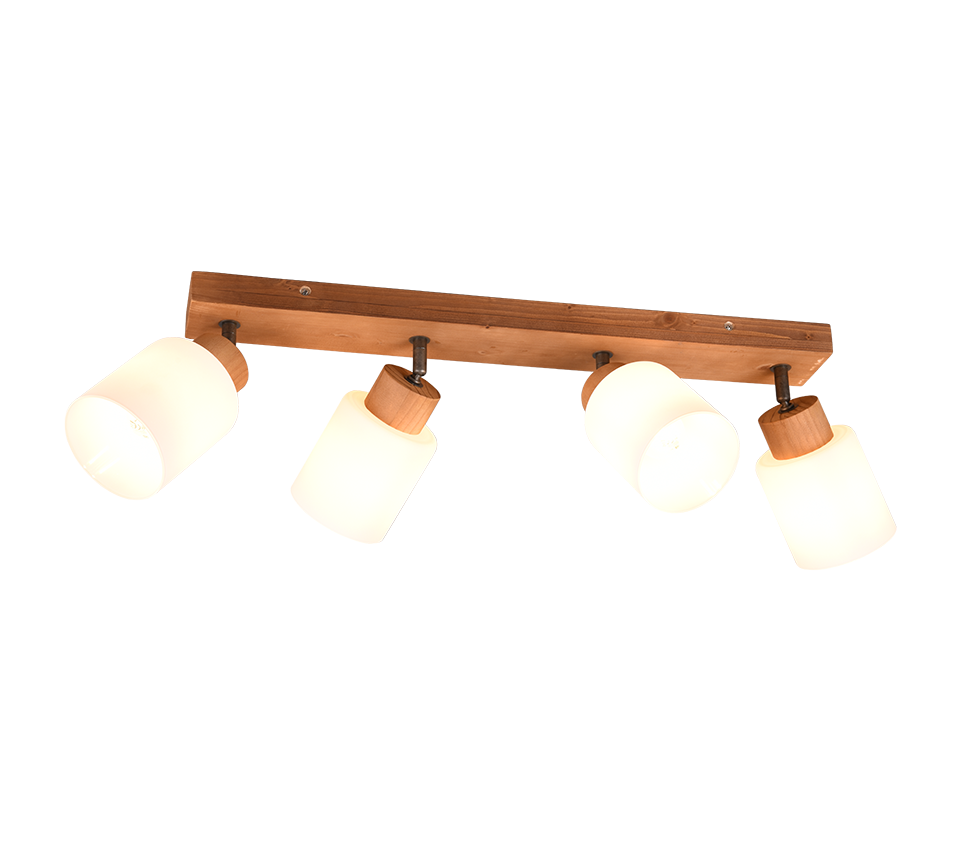 Assam 2/3/4Lt Bar Spotlight