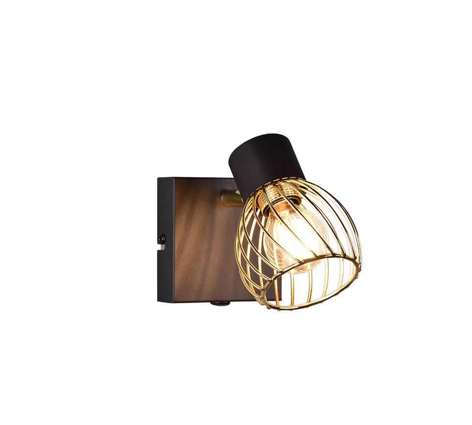 Ardon Wall/Ceiling Spotlight - Black & Gold