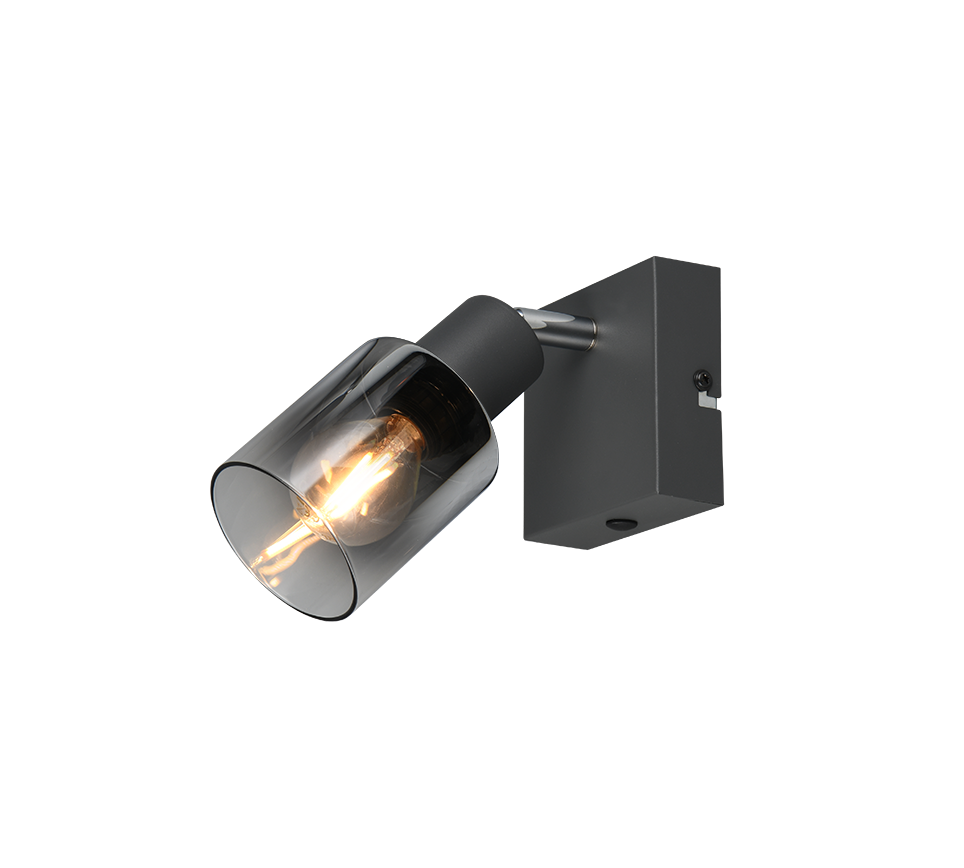 Cadiz Wall/Ceiling Spotlight - Promotional Offer