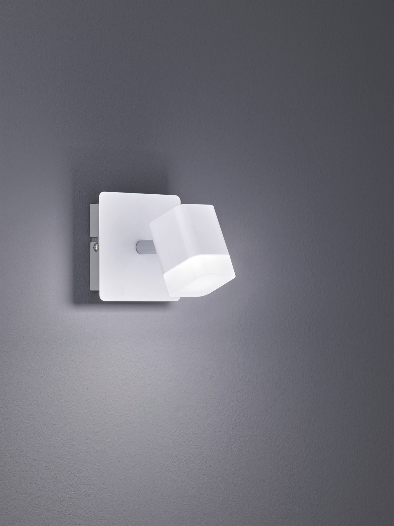 Roubaix Ceiling Spotlight - White/Nickel