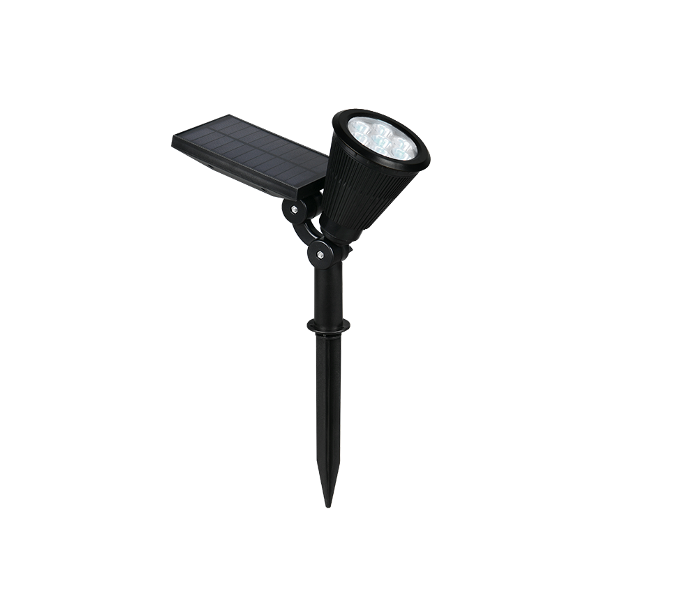 Festival Solar Spotlight