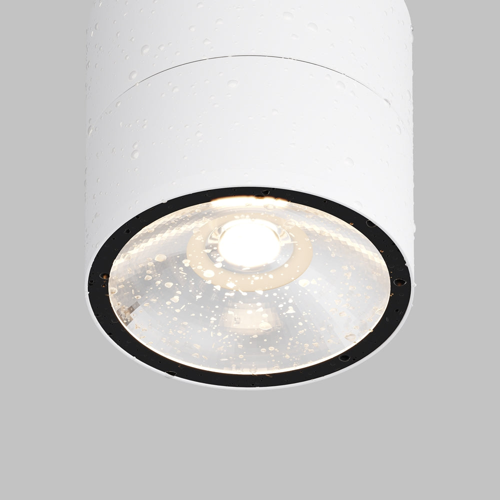 Spin Outdoor Ceiling Spotlight
